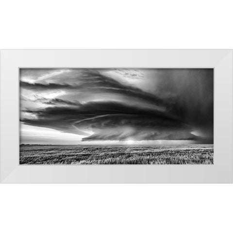 Kansas White Modern Wood Framed Art Print by Darby, Rob