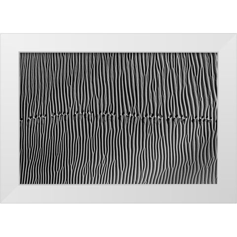 Untitled White Modern Wood Framed Art Print by Momeni, Mohammadreza