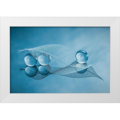Dry Leaf And Bubbles White Modern Wood Framed Art Print by Jacobs, Lydia