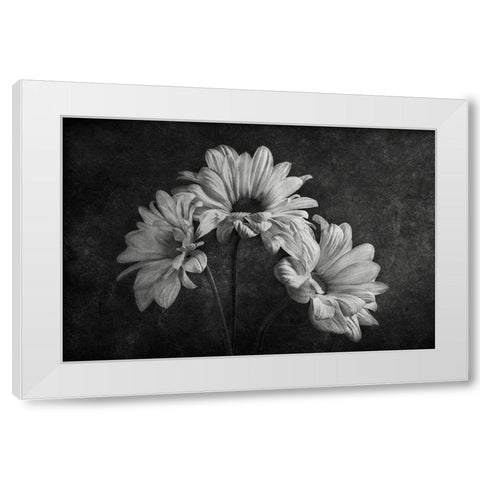 Untitled White Modern Wood Framed Art Print by Clough, Stephen