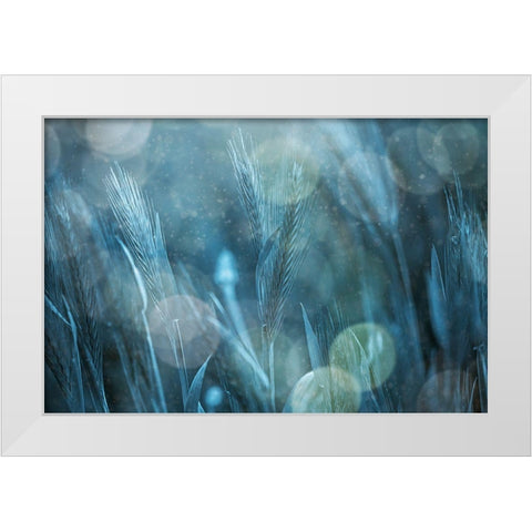 Fantastic Nature White Modern Wood Framed Art Print by Kiral, Cicek