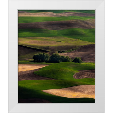 Rolling Dreams White Modern Wood Framed Art Print by Langager, Ron