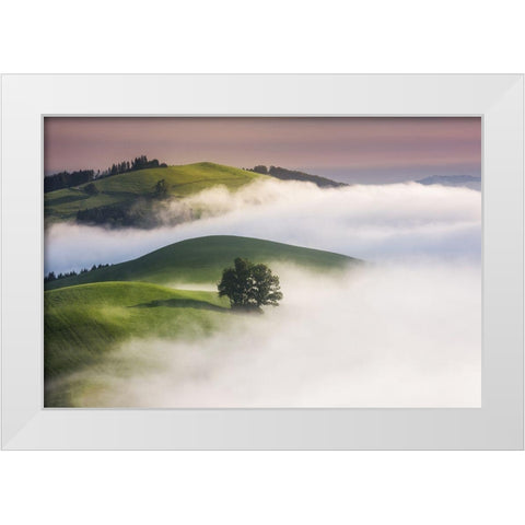 Green Hills White Modern Wood Framed Art Print by Jochen, Burger