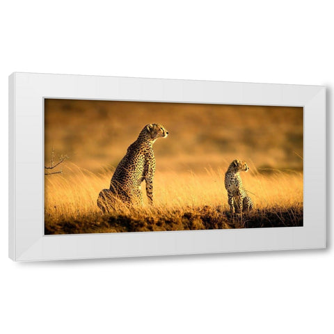 Mum And Son White Modern Wood Framed Art Print by Tsui, Hung