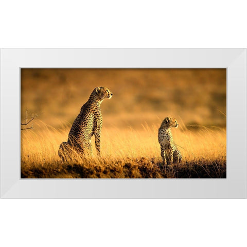 Mum And Son White Modern Wood Framed Art Print by Tsui, Hung