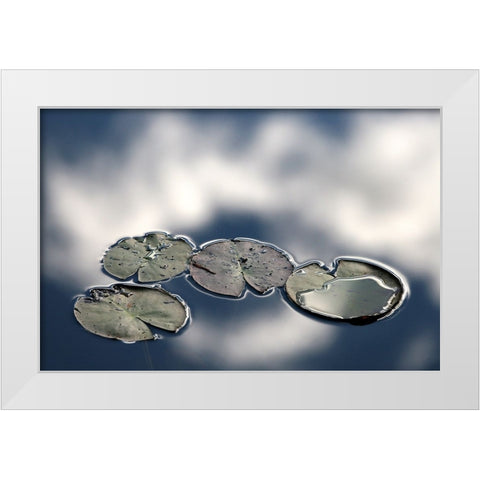 Four White Modern Wood Framed Art Print by Johansson, Bror