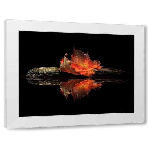 Autumn Colors White Modern Wood Framed Art Print by Ianeva, Aida
