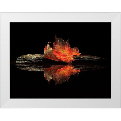 Autumn Colors White Modern Wood Framed Art Print by Ianeva, Aida