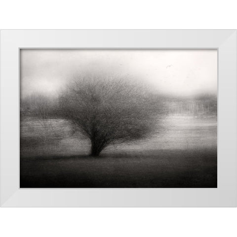 On The Meadow White Modern Wood Framed Art Print by Holmstrom, Katarina