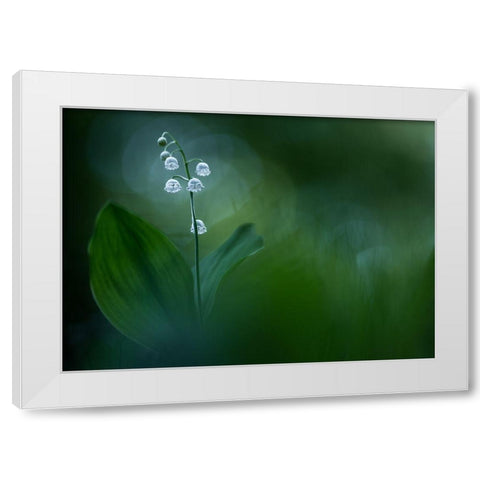 Lilly Of The Valley White Modern Wood Framed Art Print by Dvorak, Petra