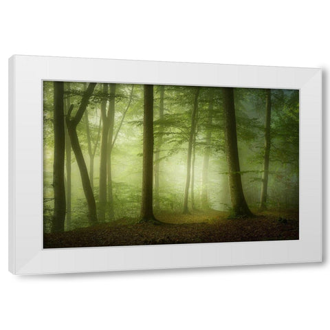 Mysterious Spring Morning White Modern Wood Framed Art Print by Maier, Norbert