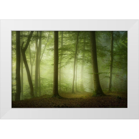 Mysterious Spring Morning White Modern Wood Framed Art Print by Maier, Norbert
