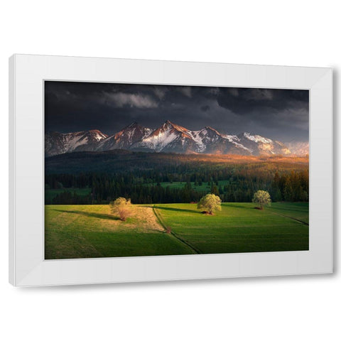 After Storm White Modern Wood Framed Art Print by Nienartowicz, Karol