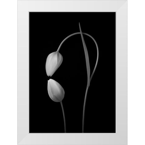 Flowers Love White Modern Wood Framed Art Print by Xu, Tony