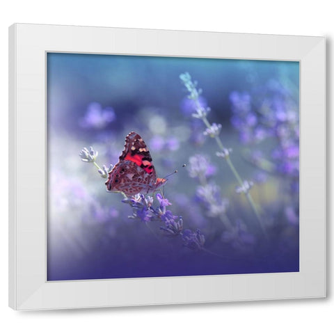 Queen Of Flowers.. White Modern Wood Framed Art Print by Nan, Juliana