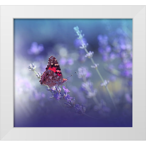 Queen Of Flowers.. White Modern Wood Framed Art Print by Nan, Juliana