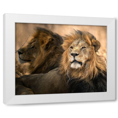 Waiting White Modern Wood Framed Art Print by Tsui, Hung