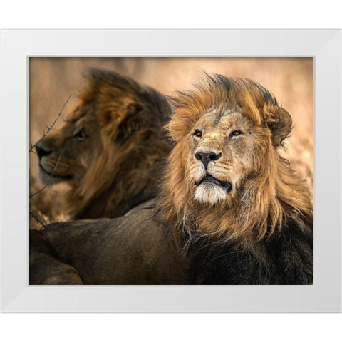 Waiting White Modern Wood Framed Art Print by Tsui, Hung