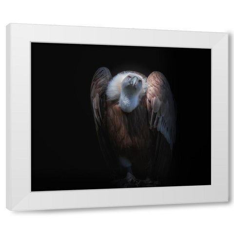observant White Modern Wood Framed Art Print by Kamera