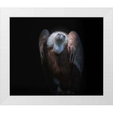 observant White Modern Wood Framed Art Print by Kamera