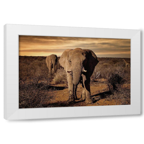 Big White Modern Wood Framed Art Print by Lackner, Walter