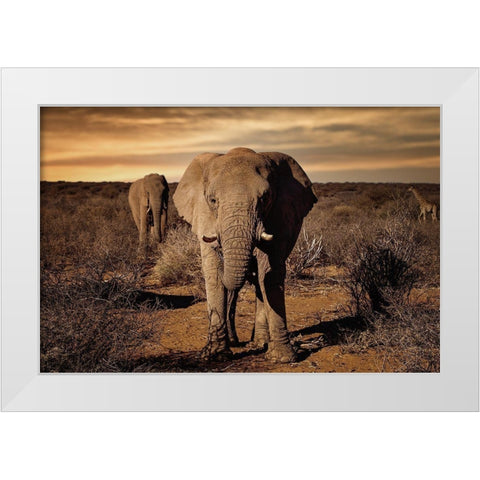 Big White Modern Wood Framed Art Print by Lackner, Walter