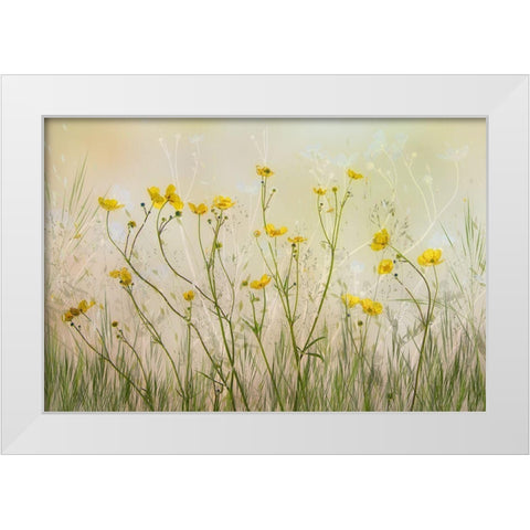 Good Morning! White Modern Wood Framed Art Print by Talen, Nel