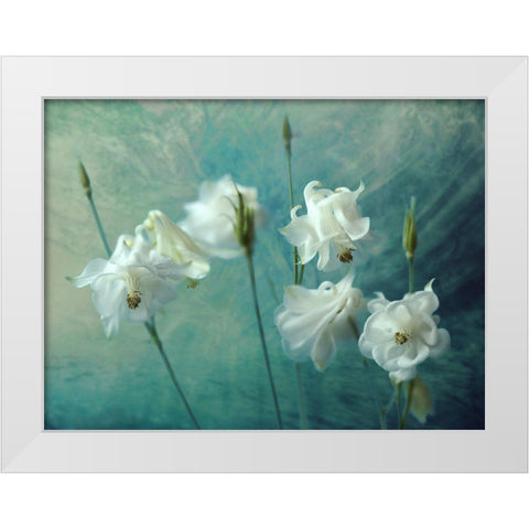 Crowns Of Thorns White Modern Wood Framed Art Print by Kreiten, Mike