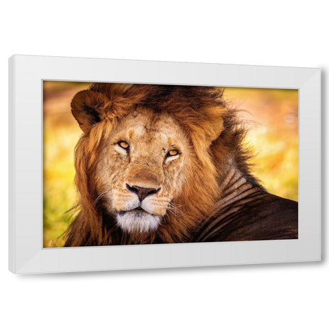 King Doa White Modern Wood Framed Art Print by Alnaser, Mohammed