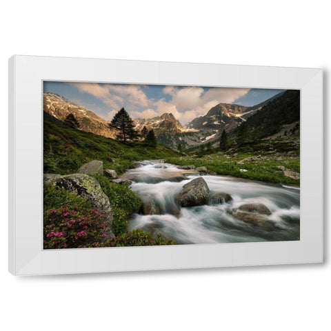 Maritime Alps Park White Modern Wood Framed Art Print by Bolla, Paolo