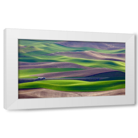 Driving In The Wheat Field At Palouse White Modern Wood Framed Art Print by Gao, Danny