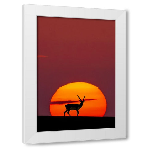 Sun Crossing White Modern Wood Framed Art Print by Saleem, Abdul