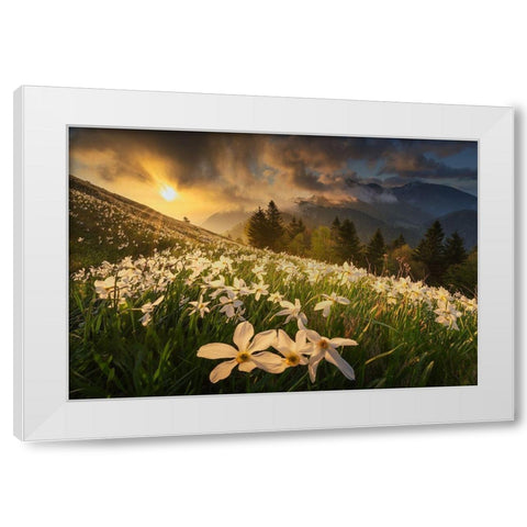 White Carpet White Modern Wood Framed Art Print by Komovec, Ales