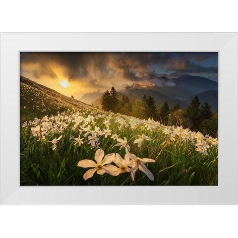 White Carpet White Modern Wood Framed Art Print by Komovec, Ales