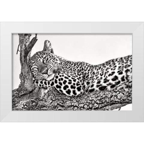 Time To Rest White Modern Wood Framed Art Print by Ortega, Xavier