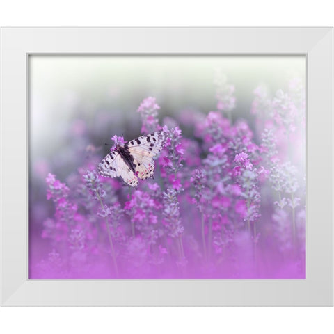 Queen Of Flowers..II White Modern Wood Framed Art Print by Nan, Juliana