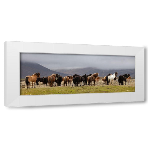 Big Family White Modern Wood Framed Art Print by H. Ingibergsson, Torsteinn