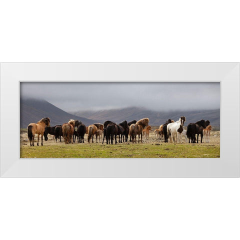 Big Family White Modern Wood Framed Art Print by H. Ingibergsson, Torsteinn