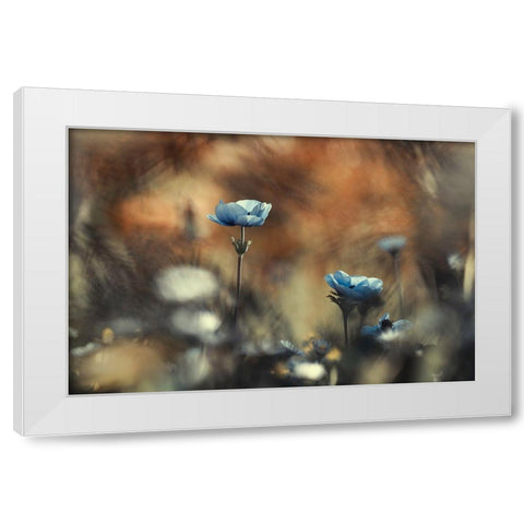Let Flowers Rule The World White Modern Wood Framed Art Print by Bravin, Fabien