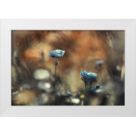 Let Flowers Rule The World White Modern Wood Framed Art Print by Bravin, Fabien