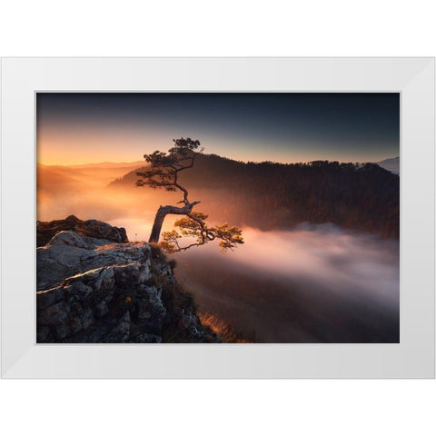 Sokolica White Modern Wood Framed Art Print by Nienartowicz, Karol