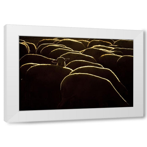 Confused White Modern Wood Framed Art Print by Bagci, Emir