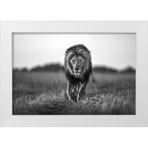 Old Boy White Modern Wood Framed Art Print by Ortega, Xavier