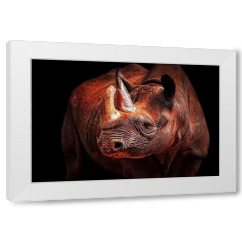 Rhino Posing White Modern Wood Framed Art Print by Wenner-Braun, Antje