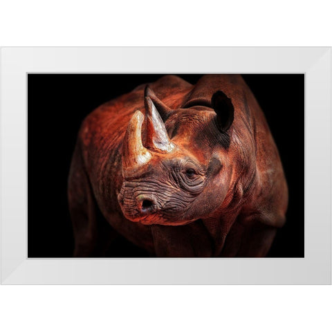 Rhino Posing White Modern Wood Framed Art Print by Wenner-Braun, Antje