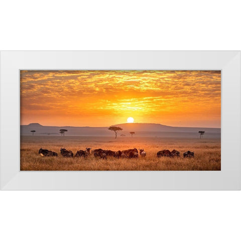 Sunrise White Modern Wood Framed Art Print by Tsui, Hung