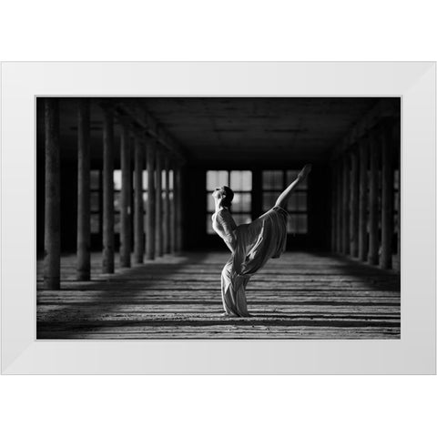 Elalna White Modern Wood Framed Art Print by Kapsha, Eduards