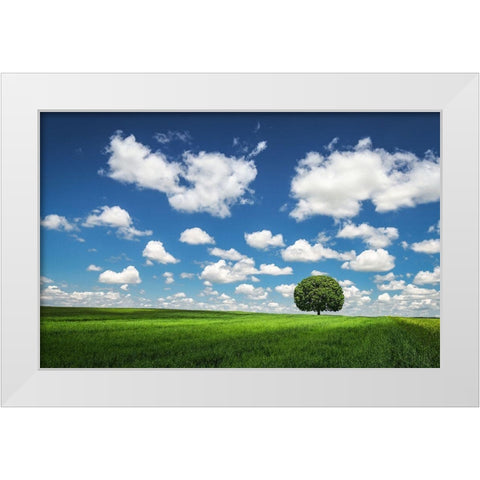 Lonely Tree White Modern Wood Framed Art Print by Hamiti, Bess