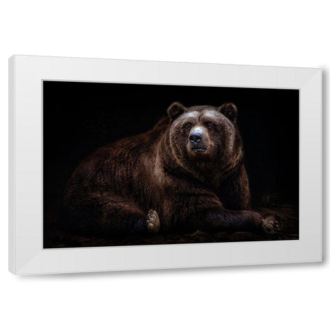 Bear Portrait White Modern Wood Framed Art Print by Pascual Buye, Santiago