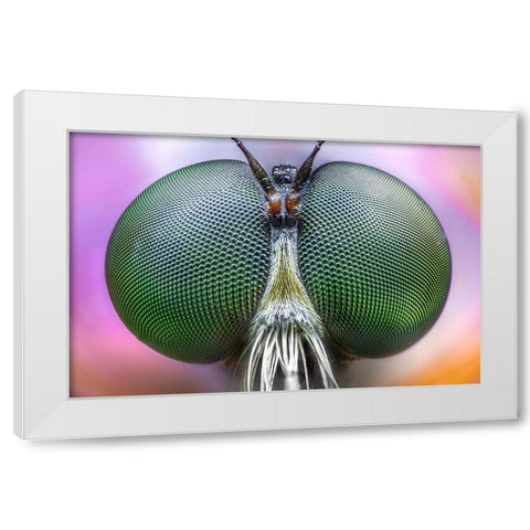 Amazing Eyes White Modern Wood Framed Art Print by Ghizzi Panizza, Alberto